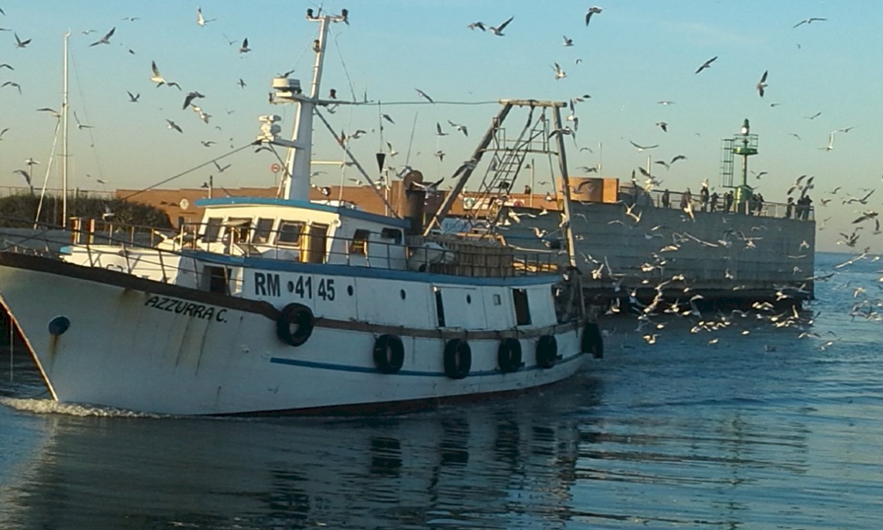 4.jpg - Abbigliamento - Intimo Via Sigismondo 95, Rimini - foto 1