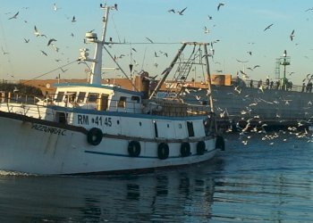 4.jpg - Abbigliamento - Intimo Via Sigismondo 95, Rimini - foto 1