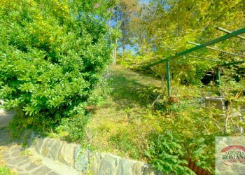 Rif 1828(Copy55).jpg - Villa Località la Pineta 27, Pontinvrea - foto 12