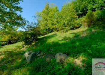 Rif 1828(Copy92).jpg - Villa Località la Pineta 27, Pontinvrea - foto 19