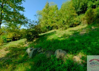 Rif 1828(Copy94).jpg - Villa Località la Pineta 27, Pontinvrea - foto 20