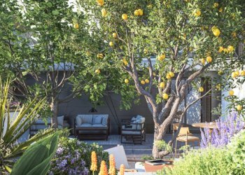 Villa 02 giardino - Villa Laigueglia - foto 6