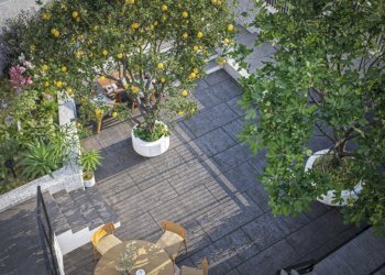 Villa 03 giardino - Villa Laigueglia - foto 7