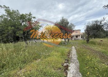 81e55456-5955-4a96-89ae-c4d7c3a1efc9.jpeg - Villa CONTRADA CARANCINO, Siracusa - foto 9