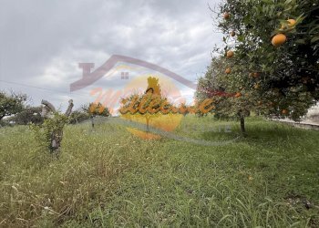 5788165c-c99d-4616-83a3-8cfb0dd21add.jpeg - Villa CONTRADA CARANCINO, Siracusa - foto 12