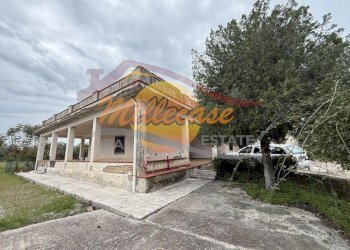 ed9634e1-7a25-40d9-8824-c442f992696d.jpeg - Villa CONTRADA CARANCINO, Siracusa - foto 23