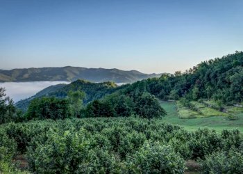 Casa indipendente Cortemilia - foto 16