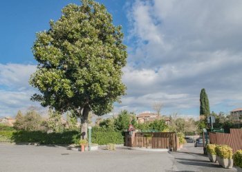 Three-room apartment Via Trionfale, Roma - photo 29