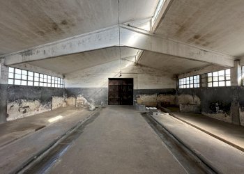 Magazzino Savigliano - foto 8