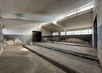 Magazzino Savigliano - foto 9