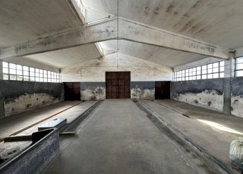 Magazzino Savigliano - foto 15