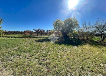 Terreno agricolo Via Manelle, Savignano sul Panaro - foto 5