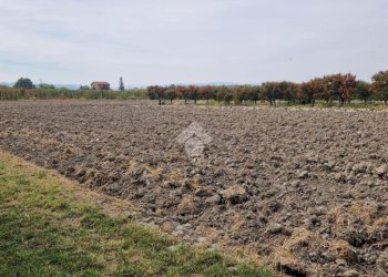 Terreno agricolo Via Manelle, Savignano sul Panaro - foto 7
