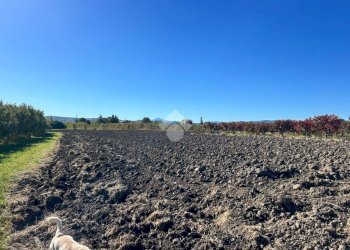 Terreno agricolo Via Manelle, Savignano sul Panaro - foto 8