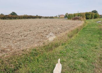 Rustic Via Manelle, Savignano sul Panaro - photo 13