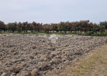 Rustic Via Manelle, Savignano sul Panaro - photo 15