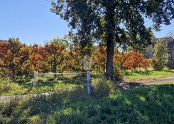 Rustic Via Manelle, Savignano sul Panaro - photo 21
