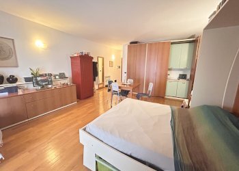 One-room apartment Alba - photo 7