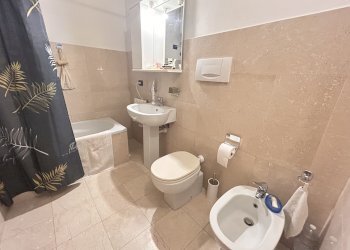 One-room apartment Alba - photo 13