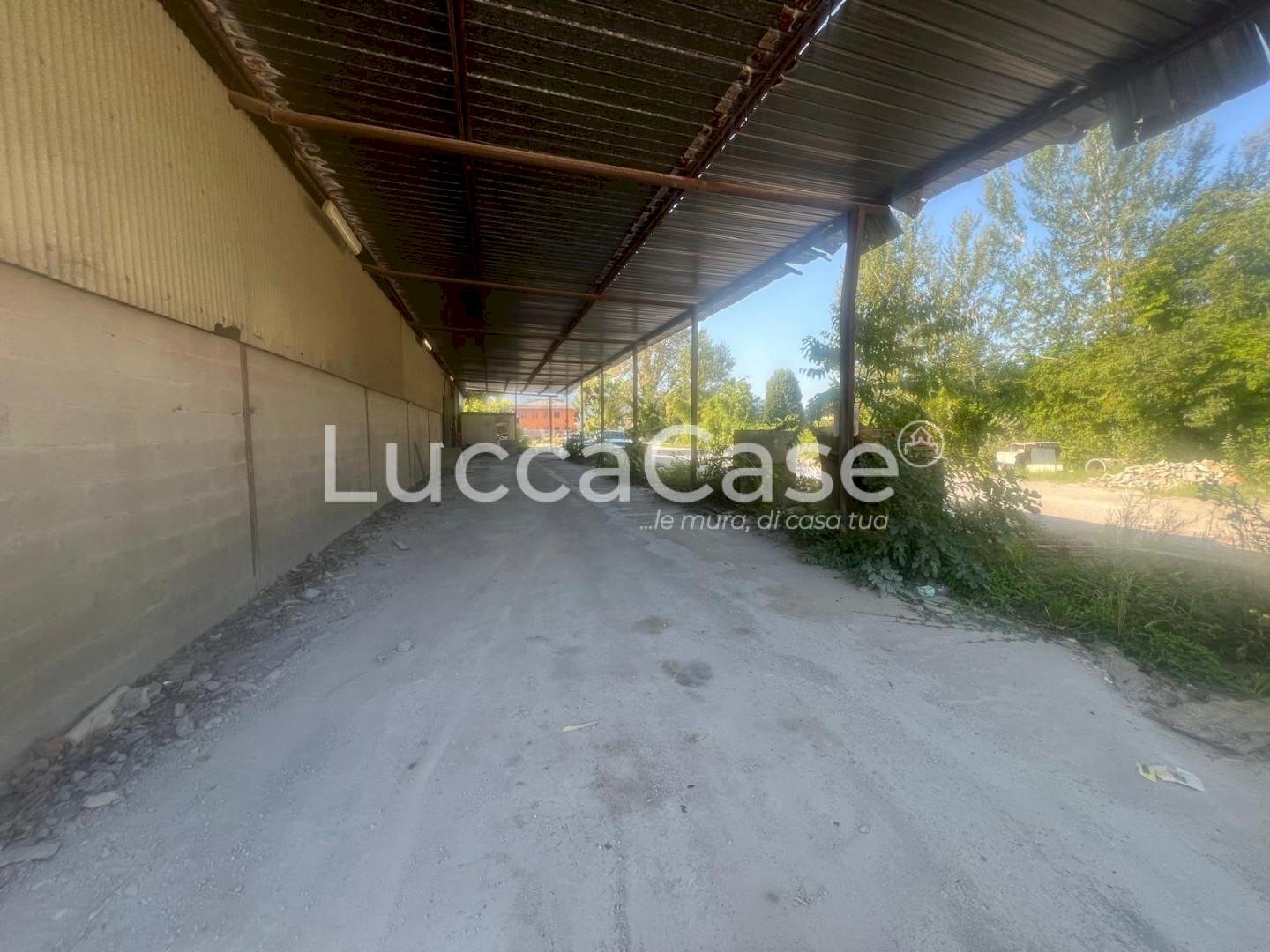 Warehouse Costigliole d'Asti - photo 3
