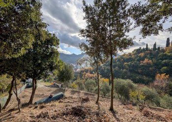 Building land Via Olivella Caminata, Casarza Ligure - photo 19