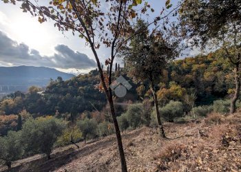 Building land Via Olivella Caminata, Casarza Ligure - photo 21