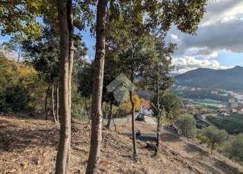 Building land Via Olivella Caminata, Casarza Ligure - photo 23