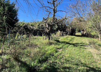 Casa indipendente VIA NAVIGLIANO, San Sebastiano da Po - foto 6