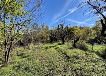 Casa indipendente VIA NAVIGLIANO, San Sebastiano da Po - foto 7
