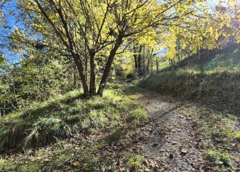 Casa indipendente VIA NAVIGLIANO, San Sebastiano da Po - foto 8