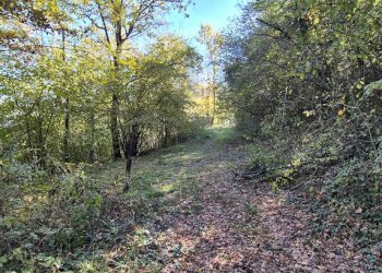 Casa indipendente VIA NAVIGLIANO, San Sebastiano da Po - foto 11