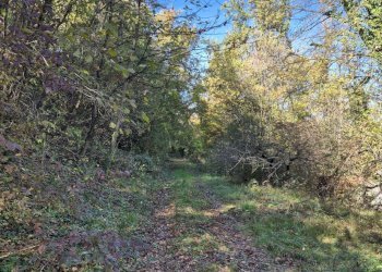 Casa indipendente VIA NAVIGLIANO, San Sebastiano da Po - foto 12