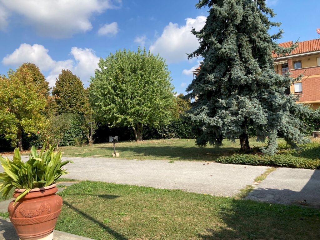 Villa Carrù - foto 3