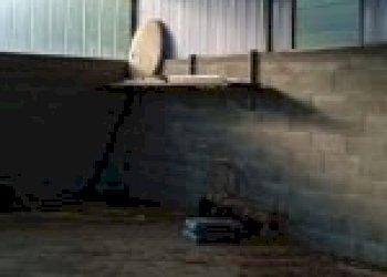 Agricultural land Canelli - photo 4