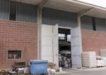 Terreno agricolo Santo Stefano Belbo - foto 5