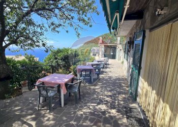 Agriturismo Framura, SP, Framura - foto 60