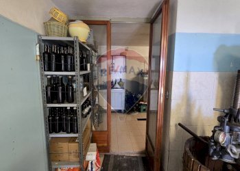 Agriturismo Framura, SP, Framura - foto 84