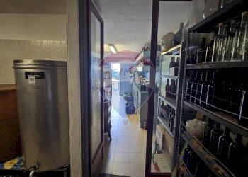 Agriturismo Framura, SP, Framura - foto 86