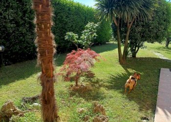 Casa indipendente Borgata rossignoli, Ciriè - foto 34