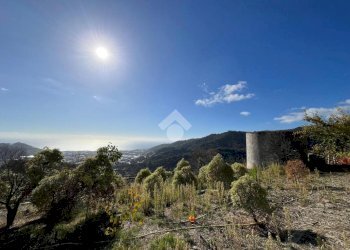 Villa Regione Tuvi, Taggia - photo 16