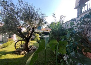 Giardino - Villa via Aldo Moro, Cuggiono - foto 6