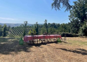 Terreno - Rustico strada Burra, Antignano - foto 22