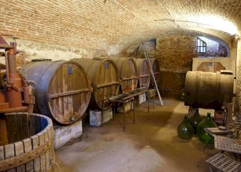 Cantina - Rustico strada Burra, Antignano - foto 34