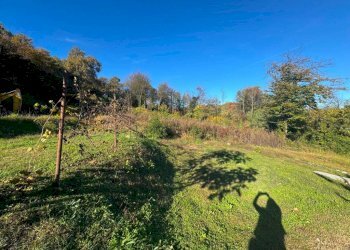 Terreno - Terreno edificabile via Giuseppe Mazzini, Ternate - foto 10