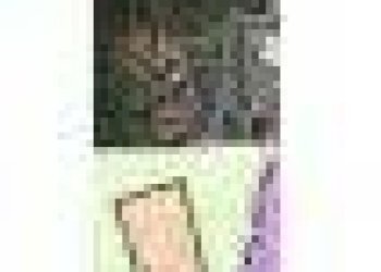 Altro - Terreno edificabile via Giuseppe Mazzini, Ternate - foto 13