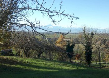 Terreno - Rustic via Cuneo, Mondovì - photo 8