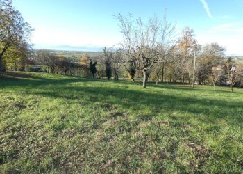 Terreno - Rustic via Cuneo, Mondovì - photo 9