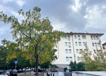 Zona - Quadrilocale via Bressanone, Roma - foto 12
