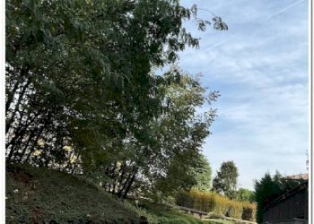 Zona - Trilocale Bergamo - foto 29