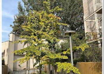 Facciata - Four-room apartment via San Gerolamo Miani, Bergamo - photo 46